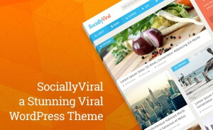 sociallyviraltheme